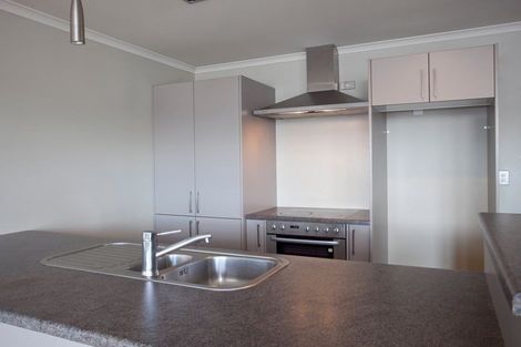 Photo of property in 47b Fifth Avenue, Enderley, Hamilton, 3214