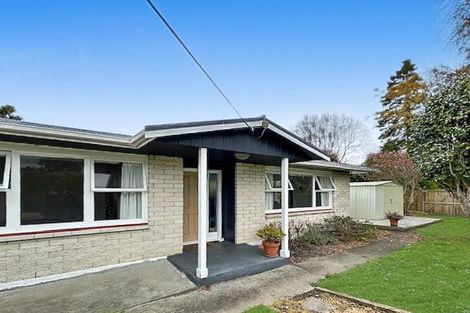 Photo of property in 1a Marlborough Street, Feilding, 4702