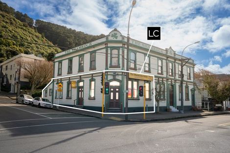 Photo of property in 230 Tinakori Road, Thorndon, Wellington, 6011