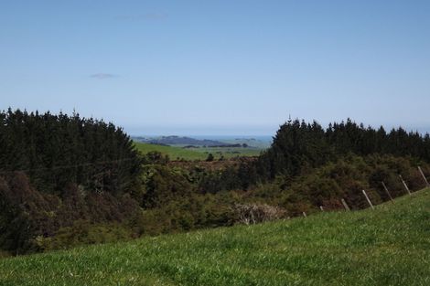 Photo of property in 333a Houchen Road, Raglan, 3295