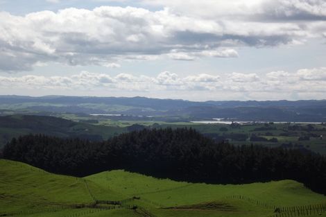 Photo of property in 333a Houchen Road, Raglan, 3295