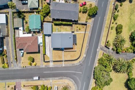 Photo of property in 3 Grimshaw Place, Henderson, Auckland, 0612