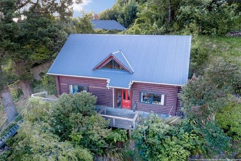 Photo of property in 50 Buccleugh Street, North East Valley, Dunedin, 9010