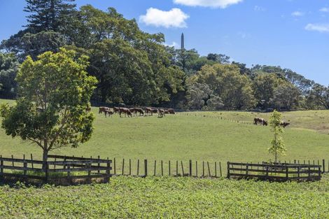 Photo of property in 61 Raurenga Avenue, Royal Oak, Auckland, 1023