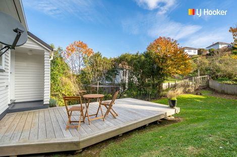 Photo of property in 113 Chapman Street, Wakari, Dunedin, 9010