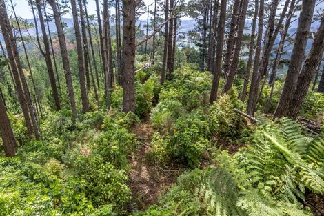 Photo of property in 220 Blue Mountains Road, Blue Mountains, Upper Hutt, 5371
