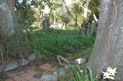 Photo of property in 8 Opuha Street East, Orari, Geraldine, 7992