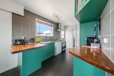 Photo of property in 17 Lethborg Street, Dinsdale, Hamilton, 3204