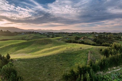 Photo of property in 371 Esdaile Road, Whakamarama, Tauranga, 3180