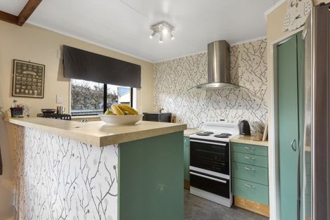 Photo of property in 43 Skerries Street, Outram, 9019