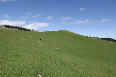 Photo of property in 333a Houchen Road, Raglan, 3295