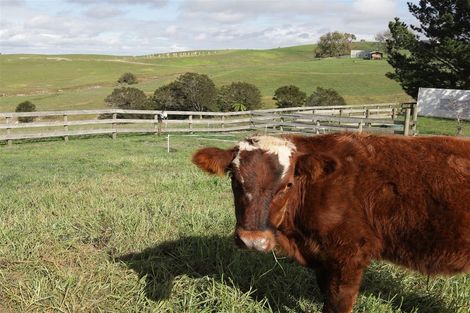 Photo of property in 520 Koheroa Road, Mercer, 2474