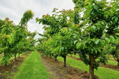 Photo of property in 66 Gladsmuir Road, Queensberry, Cromwell, 9383