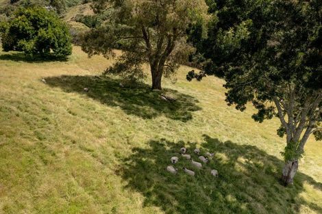 Photo of property in 473 Old Highway, Whakamarama, Tauranga, 3180