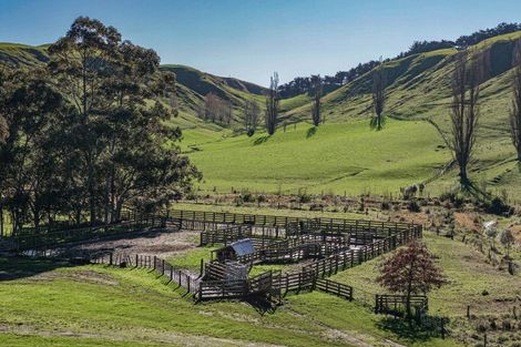 Photo of property in 717 Puketitiri Road, Puketapu, Napier, 4182