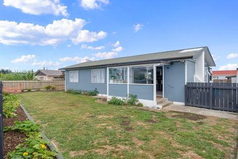 Photo of property in 30 Strathmore Avenue, Levin, 5510