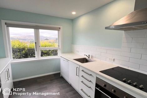 Photo of property in 119 Mulford Street, Concord, Dunedin, 9018