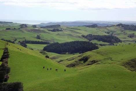 Photo of property in 333a Houchen Road, Raglan, 3295