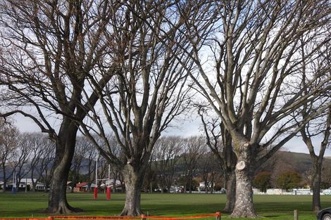 Photo of property in 58/10 Buffon Street, Waltham, Christchurch, 8023