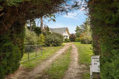 Photo of property in 87 Thomas Street, Waikouaiti, 9510