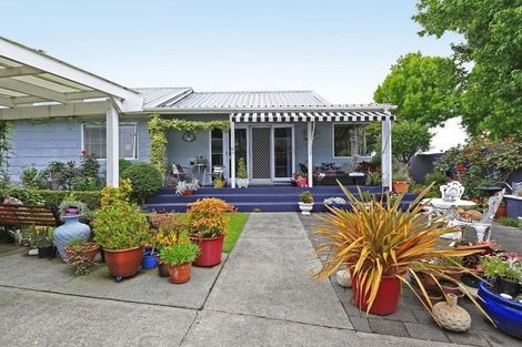 Photo of property in 302 Leo Street, Akina, Hastings, 4122