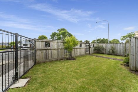 Photo of property in 303a Maungatapu Road, Maungatapu, Tauranga, 3112