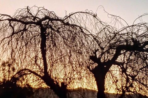 Photo of property in 30 Young Lane, Clyde, Alexandra, 9391