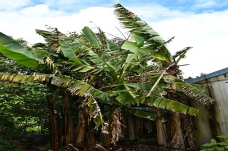 Photo of property in 8 Gladstone Street, Seddonville, Westport, 7891