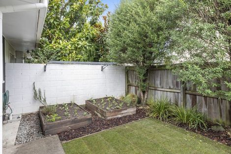 Photo of property in 3/39 Trafalgar Street, St Albans, Christchurch, 8014