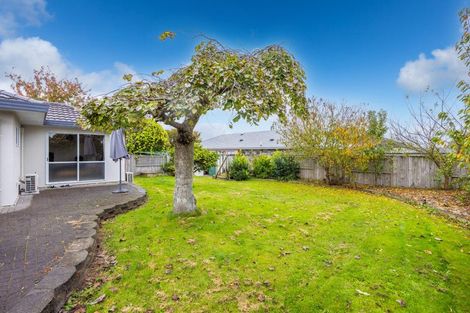 Photo of property in 34 Macmurdo Avenue, Glenview, Hamilton, 3206