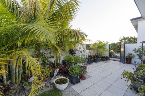 Photo of property in 43 Aquila Drive, Whitianga, 3510