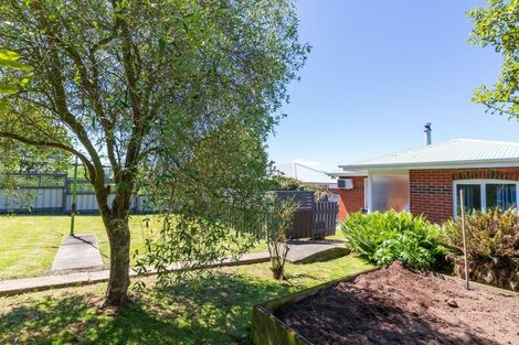 Photo of property in 19 Cuba Street, Calton Hill, Dunedin, 9012