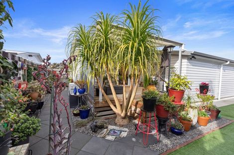 Photo of property in 11 Kamahi Crescent, Papamoa Beach, Papamoa, 3118