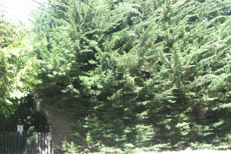 Photo of property in 80b Albert Terrace, Saint Martins, Christchurch, 8022