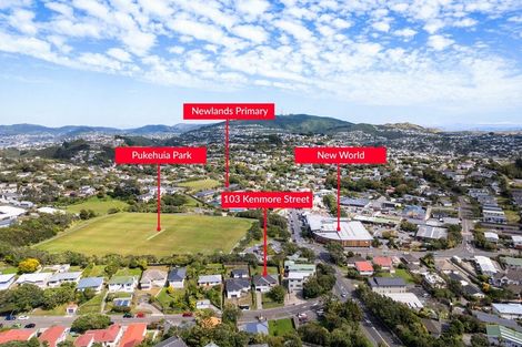 Photo of property in 103 Kenmore Street, Newlands, Wellington, 6037