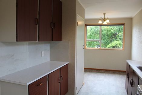 Photo of property in 45 Dejoux Road, Winton, 9720