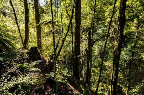 Photo of property in 288 Matiri Valley Road, Matiri, Murchison, 7077