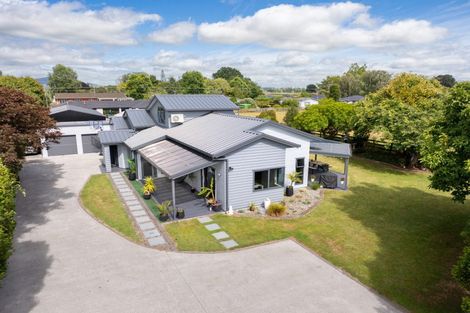 Photo of property in 19 Titoki Street, Matamata, 3400