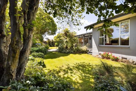 Photo of property in 24a Mccallum Street, Springlands, Blenheim, 7201