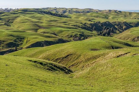 Photo of property in 717 Puketitiri Road, Puketapu, Napier, 4182