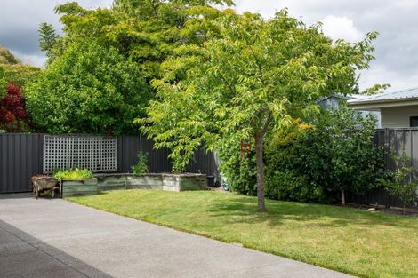 Photo of property in 87 Northwood Avenue, Mahora, Hastings, 4120