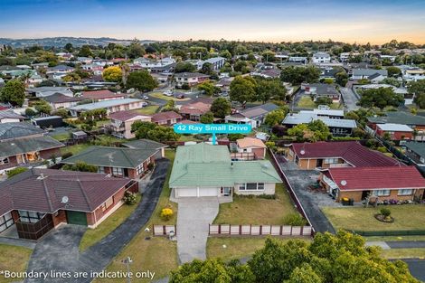 Photo of property in 42 Ray Small Drive, Pahurehure, Papakura, 2113