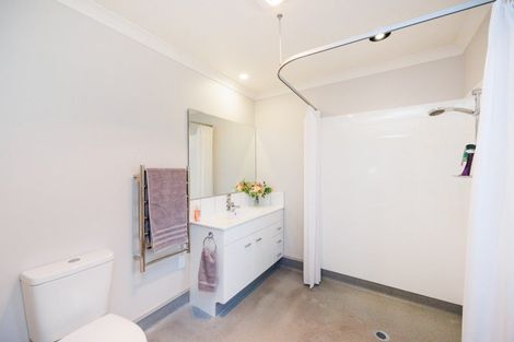 Photo of property in 110 Williams Road, Tokomaru, Palmerston North, 4474