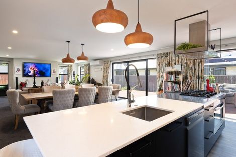 Photo of property in 87 Turnbull Drive, Witherlea, Blenheim, 7201