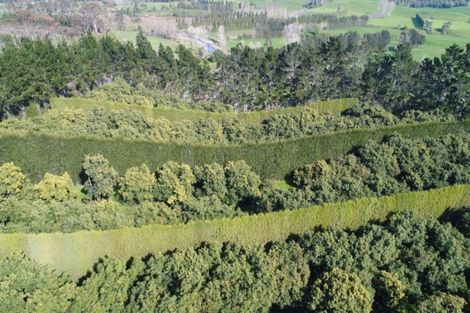 Photo of property in 168 Wright Road, Aongatete, Katikati, 3181