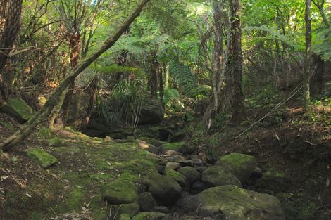 Photo of property in 39 Whaanga Road, Raglan, 3297