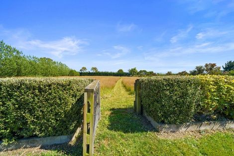 Photo of property in 12 Hawkins Drive, Martinborough, 5711