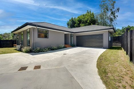 Photo of property in 65e Crosby Road, Chartwell, Hamilton, 3210