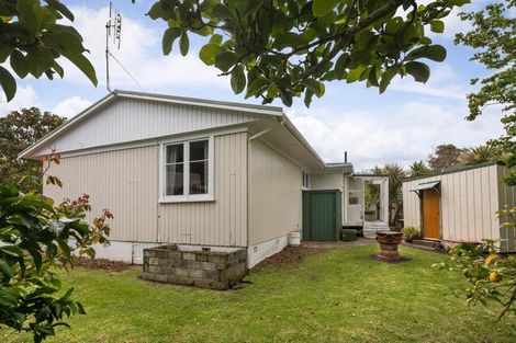 Photo of property in 103 Alfred Street, Thames, 3500