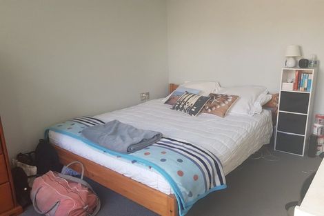 Photo of property in Vespa Apartments, 505/20 Hanson Street, Mount Cook, Wellington, 6021